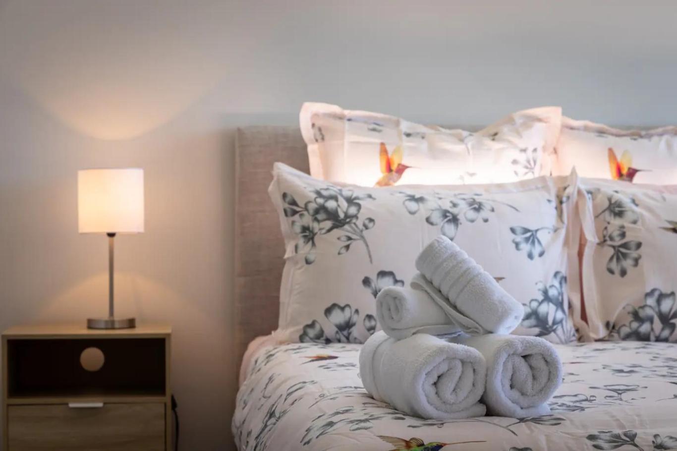 Discover A Brand New Apartment In Vibrant Chch كريستتشيرش المظهر الخارجي الصورة